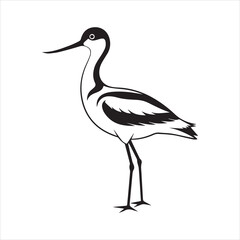 Obraz premium avocet birds silhouette vector