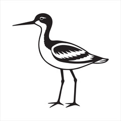 Fototapeta premium avocet birds silhouette vector