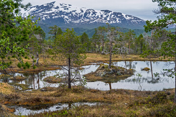  &Aring;nderdalen-Nationalpark auf der norwegischen Insel Senja