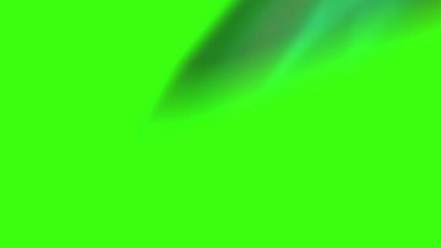 Stinger Transition Animation with Green Screen &ndash; Chroma Key Overlay for Streamers and video editors