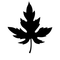 Black Maple Leaf Silhouette for Autumn Crafts, Seasonal Decor, and Outdoor Nature Themes