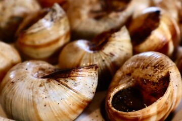 Close-up of cooked escargot arranged in a tray. The classic French delicacy features snails in...