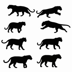 Black panther silhouette collection prowling and stalking