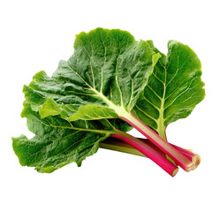 Fresh Rhubarb Stalks and Leaves A Vibrant Spring Harvest