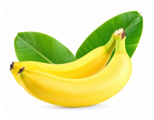 bunch of bananas isolated