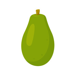 Fresh green Papaya exotic fruit icon. Organic papaya vitamin healthy food. Vector plant illustration isolated on white background.