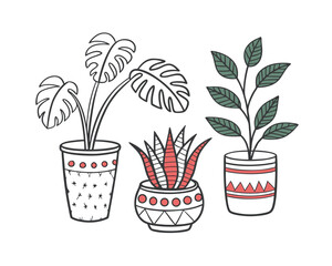 Three potted plants illustration line art design