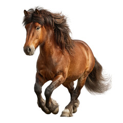 Obraz premium Majestic Brown Haflinger Horse in Motion A Stunning Display of Power and Grace