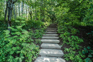 Obraz premium Experience the Serenity of Nature A Stone Path Meandering Through Lush Greenery Awaits You