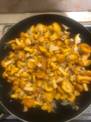 frying pan with Chopped chanterelle mushroom and onion frying in a pan. Healthy food preparation for cooking and dining. Delicious warm meal made in kitchen