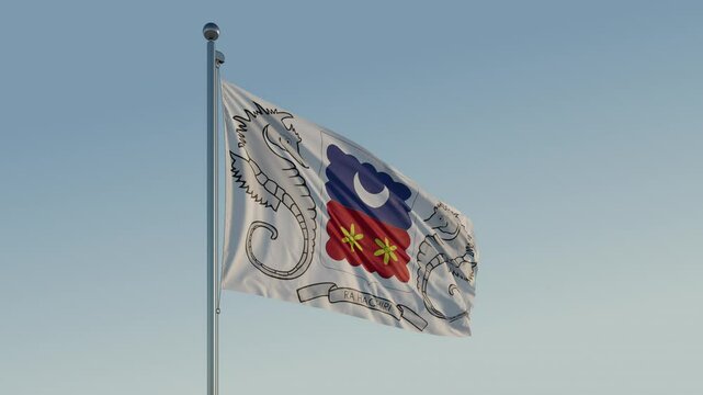 Mayotte Mamoudzou Flag seamless loop Cinematic Realistic Waving Blue Sky