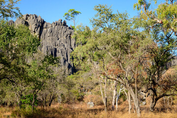 View of the Chillagoe - Mungana Caves National Park, featuring towering limestone fins and jagged...