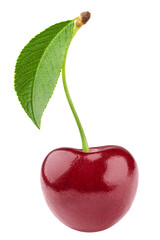 Cherry berry isolated on white background, full depth of field
