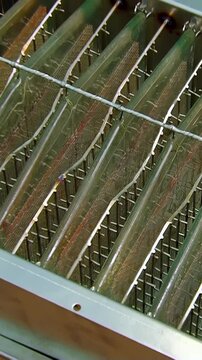 Discover the intricate design of a vertical panorama showcasing a hydro filter that efficiently removes smoke and odors from indoor BBQs. Feel the freshness as this system elevates indoor dining.