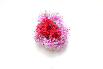 白背景のモナルダとヤグルマギクの花束