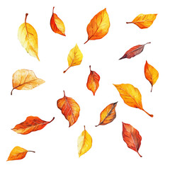 Obraz premium watercolor of Crisp Leaves Falling Gently, vector, isolated on a white background.