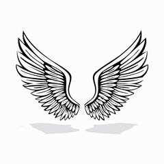 Elegant Angel Wings Vector Images isolated on white background.
