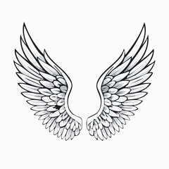 Elegant Angel Wings Vector Images isolated on white background.