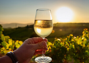 Hand holding a glass of cold white wine with a view of vineyards during golden hour, selective focus.