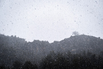 Heavy snowfall obscures a dark mountain silhouette, with bare trees faintly visible against a pale winter sky, creating a moody, atmospheric scene