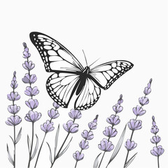 Butterfly on Lavender Flowers Enjoying Sunlight in a Natural Garden image vector.
