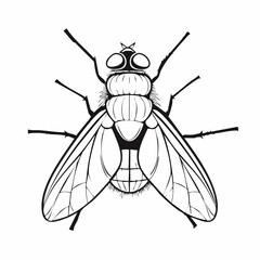 Blow Fly Species Lucilia Caesar Image vector isolated on white background.