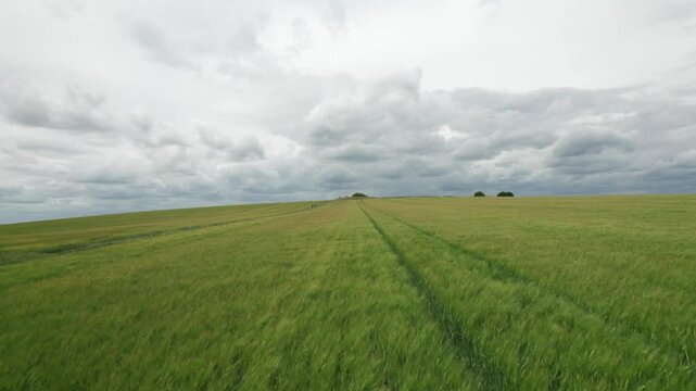 grass land, countryside of Watership Down, Newbury, England Summer