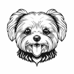 Cute Maltese dog with tongue out image vector isolated on white background.