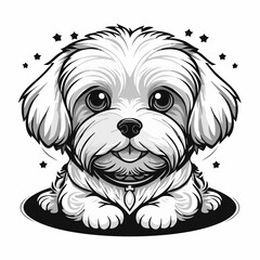 Cute white Maltese puppy image vector on white background