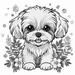 Cute white Maltese puppy image vector on white background