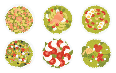 Salads in bowl top view, healthy food set vector illustration. Cartoon restaurant menu with organic fresh meals, salad with feta cheese, eggs and vegetables, fish ingredients isolated on white