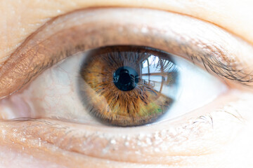 Female Brown Colored Eye with Window Reflections. High Detail Structural Anatomy of Human Iris....
