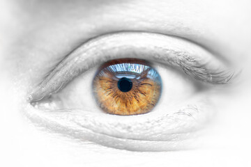 Brown female eye on desaturated facial skin. Highly detailed anatomical structure of the human iris. Taken in daylight.