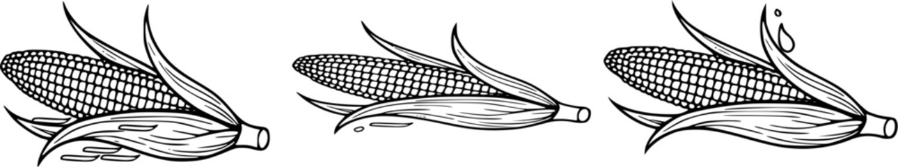Black and white corn on the cob illustration