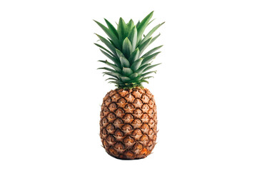 Fresh Pineapple Tropical Fruit, Juicy and Sweet, Perfect for Summer Recipes