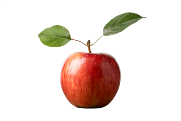Juicy Red Apple with Fresh Green Leaves A Vibrant Still Life Photograph