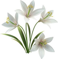 Fototapeta premium Elegant White Lily Bouquet with Green Stems and Yellow Stamens on White Background