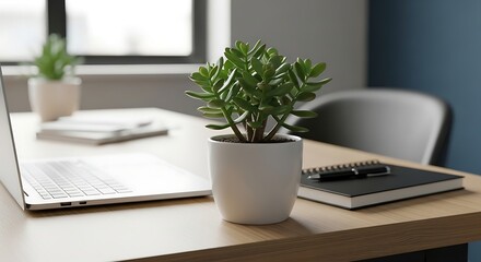Modern Minimalist Workspace with Succulent Plant