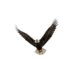 Obraz premium Majestic Bald Eagle Spreading Its Wings in Flight Against a White Background