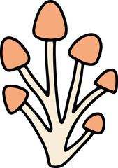mushroom food fungi food