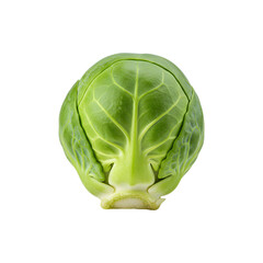 Fototapeta premium Whole green cabbage with tightly packed leaves in top view