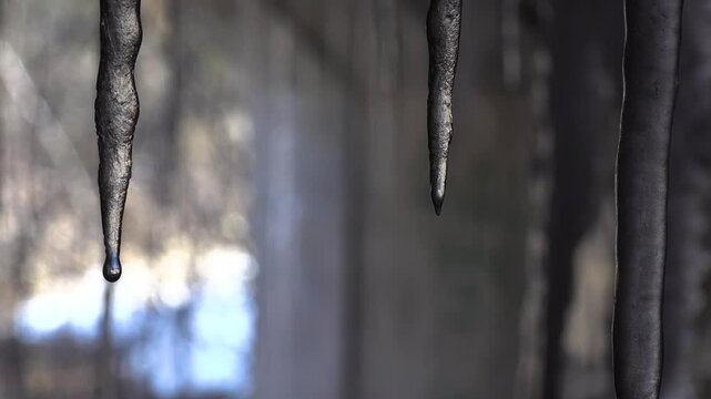A detailed view of pointy melting icicles hanging in a tunnel, emphasizing cold and serene beauty.