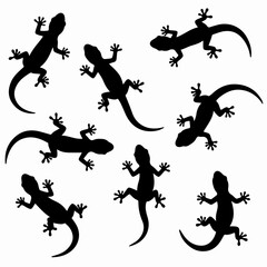 Lizard gecko black silhouettes isolated shapes