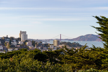 Fototapeta premium San Francisco cityscape and Golden Gate Bridge viewed through greenery.