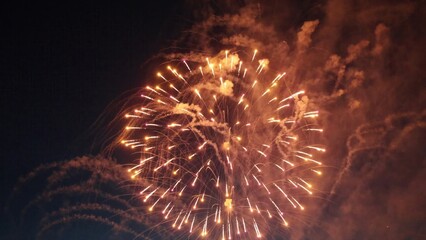 Fireworks exploding creating a spectacular show in the night sky