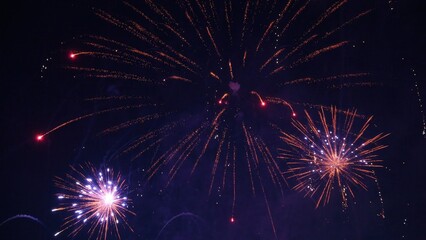 Fototapeta premium Colorful fireworks exploding in the night sky