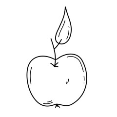 Doodle hand drawn apple with leaf. Simple outline vector illustration isolated on a white background. Editable stroke