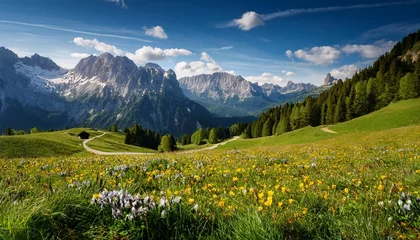 Wandcirkels Alpen idyllic mountain scenery in the alps with blooming meadows in springtime  © Ashen