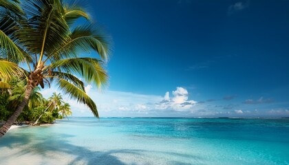 caribbean sea and coconut palms