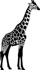 Naklejka premium Animal giraffe silhouette vector illustration 